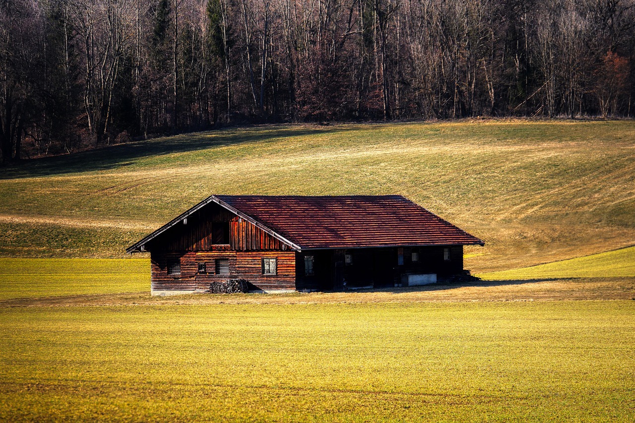 Live edge wood surface preparation and finishing
